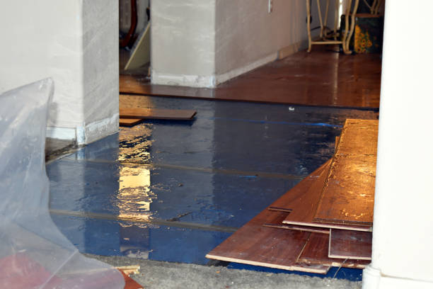Professional Basement Flood Cleanup technician working in Roanoke, VA